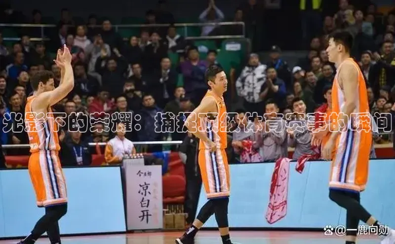 耀世登录平台